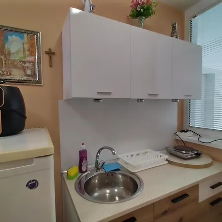 Apartament елит 4 *